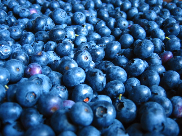 blueberry-mat