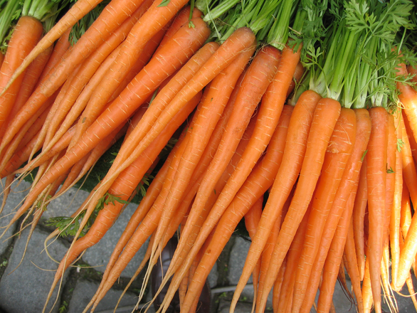 carrots-mat